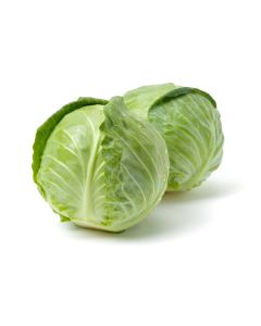 Cabbage